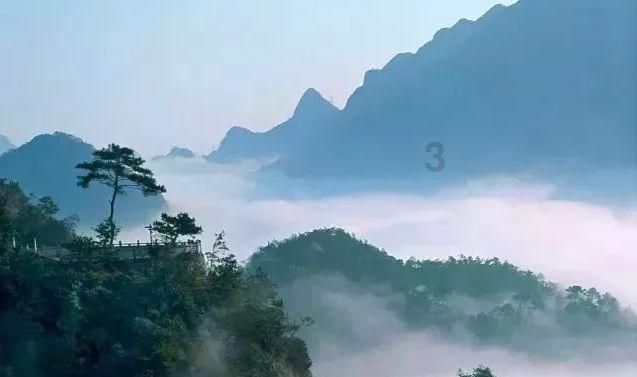 小猫钓鱼游戏龙王版有船