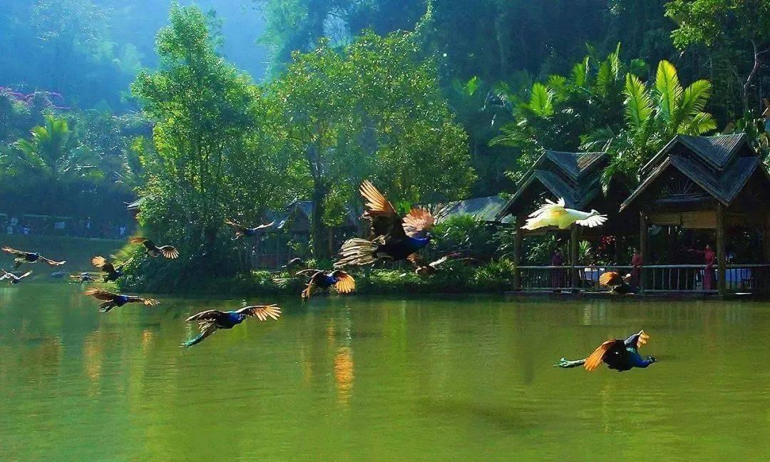 戴铎：邬思道原型，亲自为胤禛制定夺嫡计划，雍正登基后火速处死