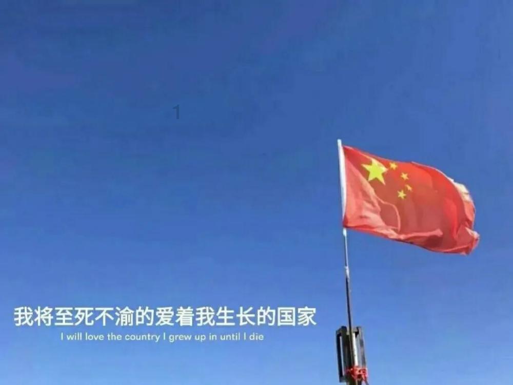 萌犬找不同