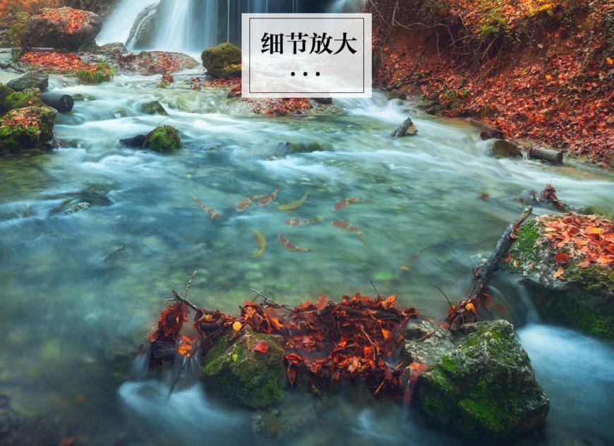 既然我们之间发展得太快的话 那就慢慢来 放慢一下脚步吧 双方再互相好好了解？游戏画面