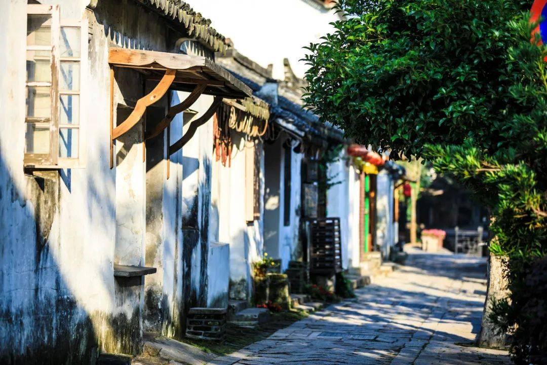 放“龘”招！三亚年货节启动